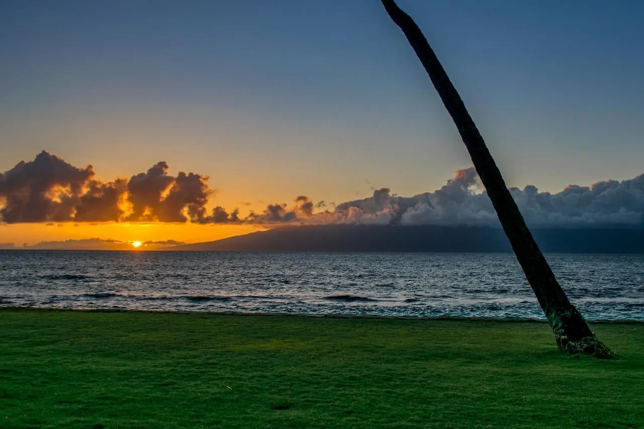 Casa vacanze Villa Paki Maui 302A Kahana